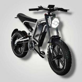 E-Carus | Trail Bike